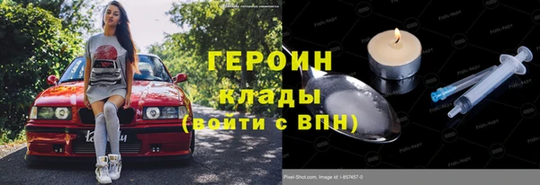 шишки Долгопрудный