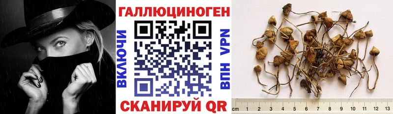 цена наркотик Беломорск площадка как зайти Псилоцибиновые грибы мухоморы